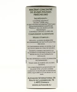 Séquoia (Sequoiadendron gigenteum) bourgeon BIO, 15 ml
